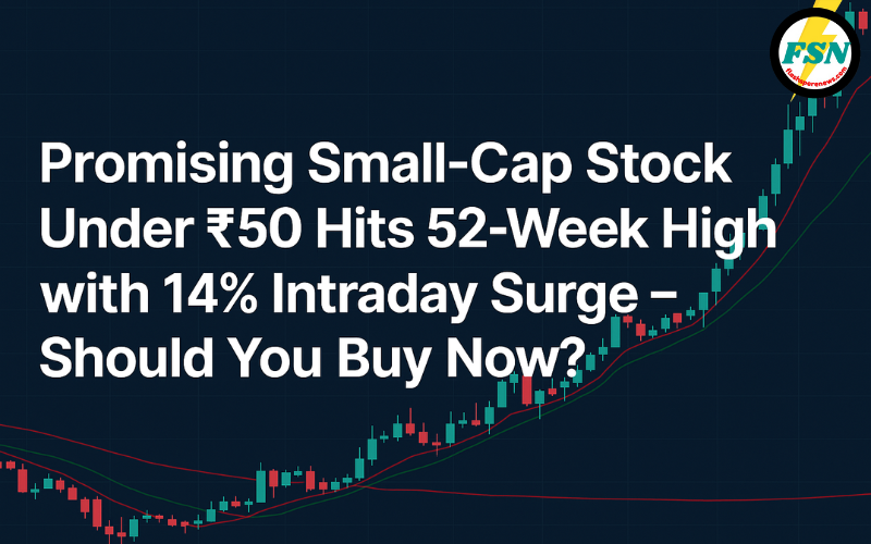 Small-Cap Stock Under ₹50