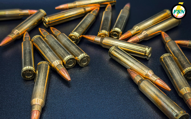 brave journalist brutally murdered